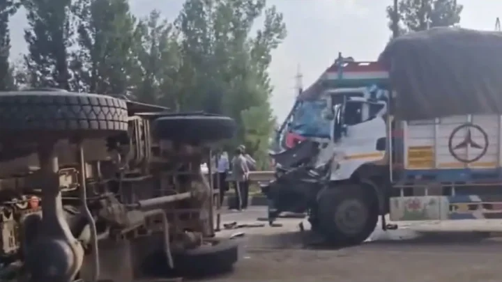 Eight dead after pickup truck collides with truck in Gwalior after driver tries to avoid cows on highway