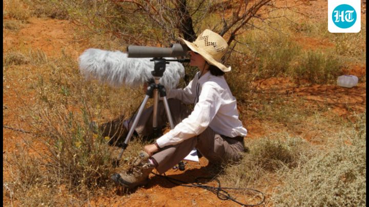 Music and lyrics?: Wknd talks to Julie Elie, the award-winning scientist decoding bird calls