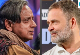 ‘Give way, listen to the thunderous sounds’: Tharoor quotes poem, backs Rahul over Gyanesh Kumar protests