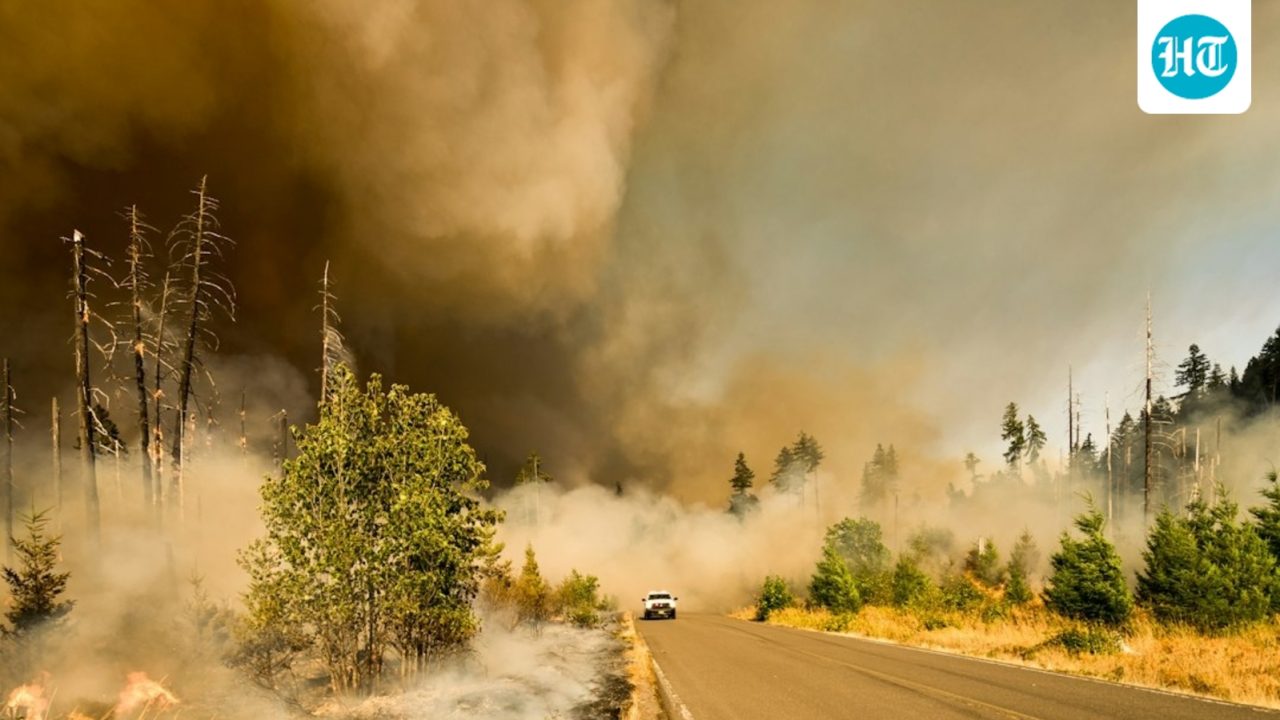 Shallotte, NC fire update: What’s burning in Brunswick County? Latest details emerge