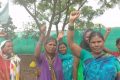 ‘माझा बाप कुठं जन्माला आला, मला माहीत नाही, मी जातीच्या दाखल्यासाठी वंशावळ कुठूनआणू’