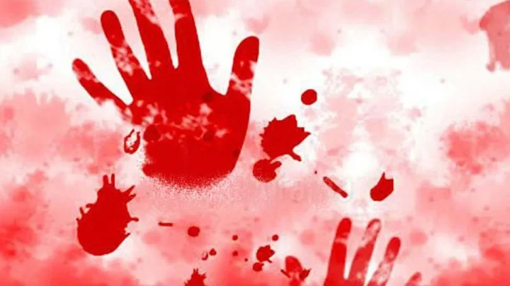 7-year-old, gang-raped, murdered in Ghaziabad; 2 arrested after stray dog led family to girl’s body