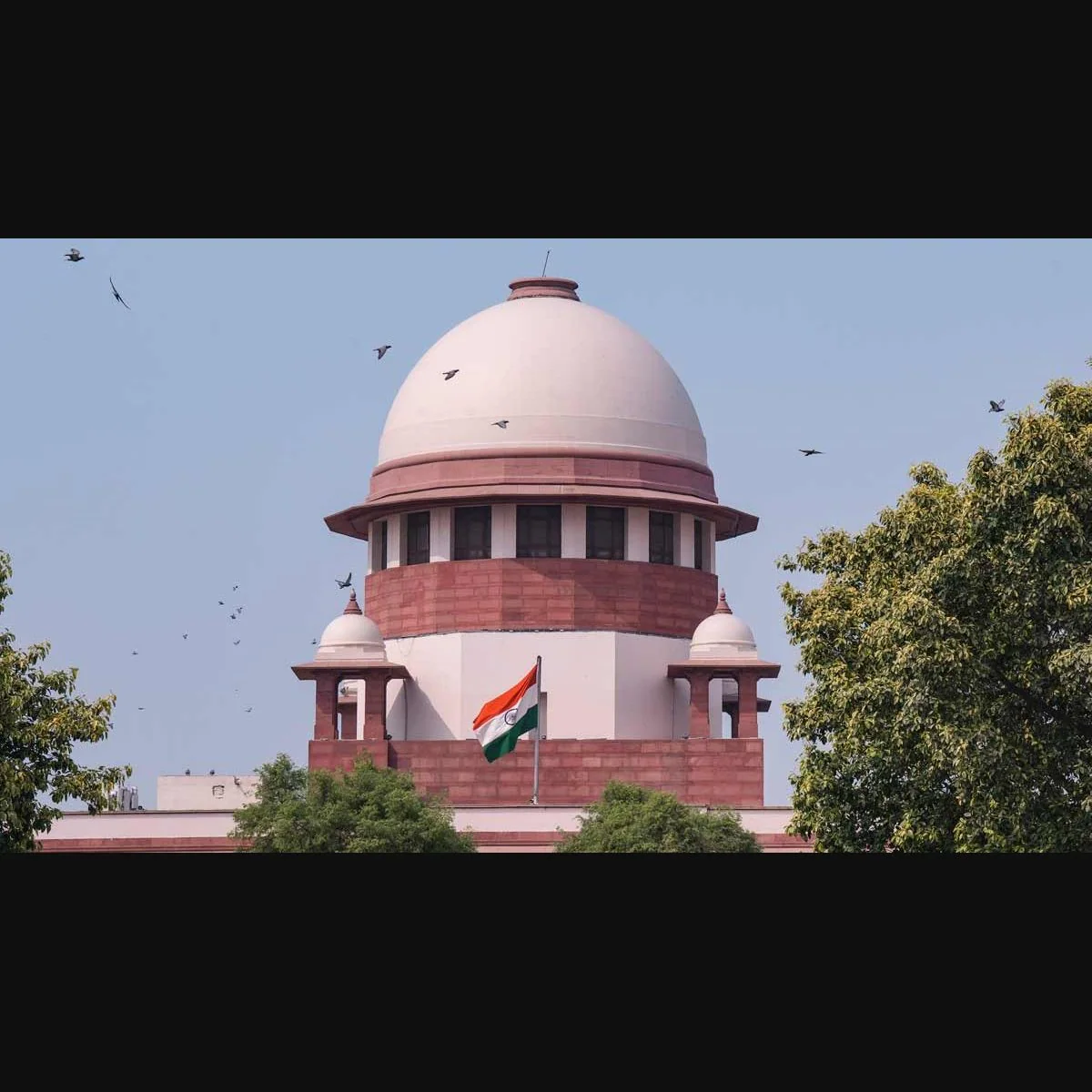 Karur stampede: SC draws line between politics and probe, refuses to curb CM Vijay’s public comments
