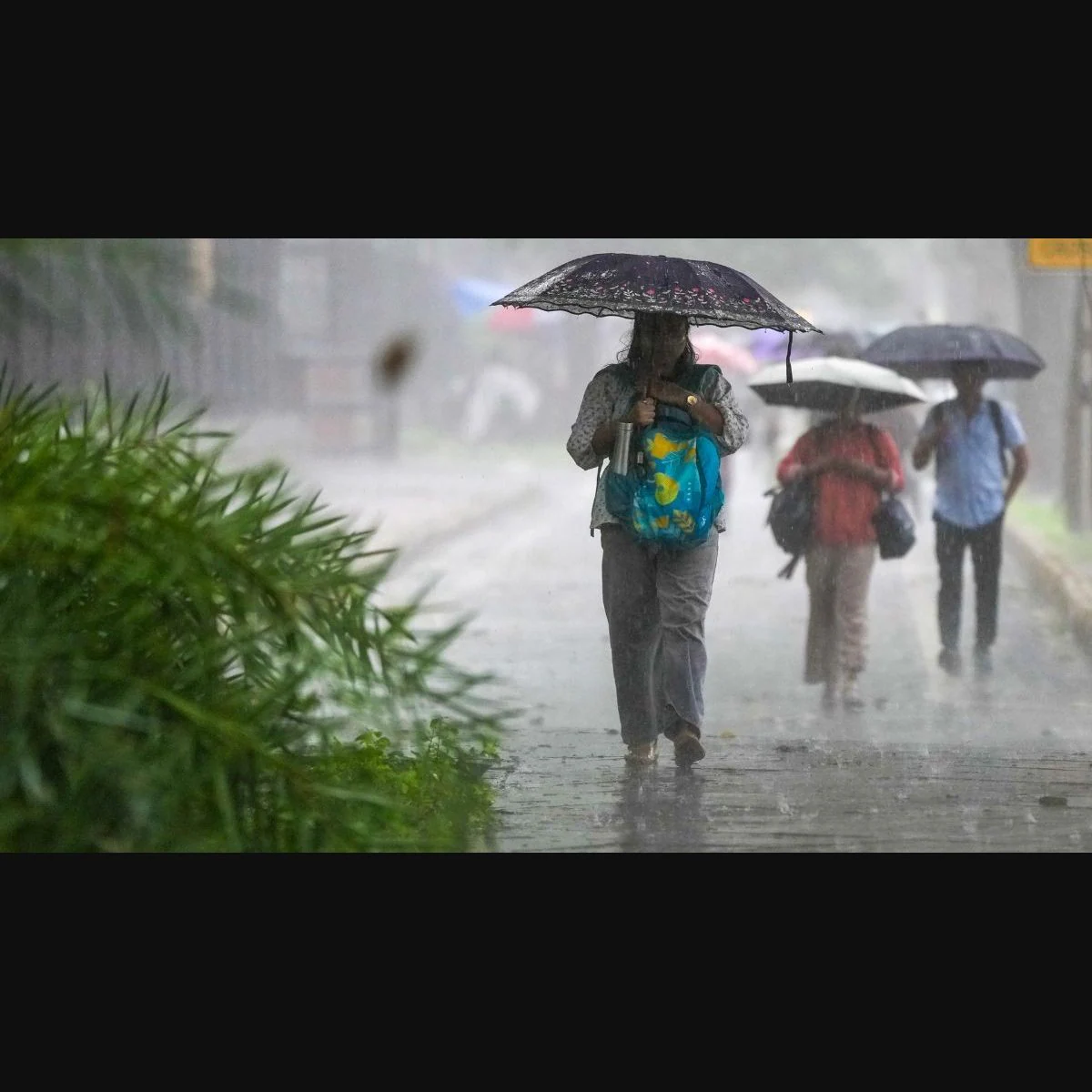 Delhi weather forecast: IMD issues red and orange alerts as heavy spells sweep NCR