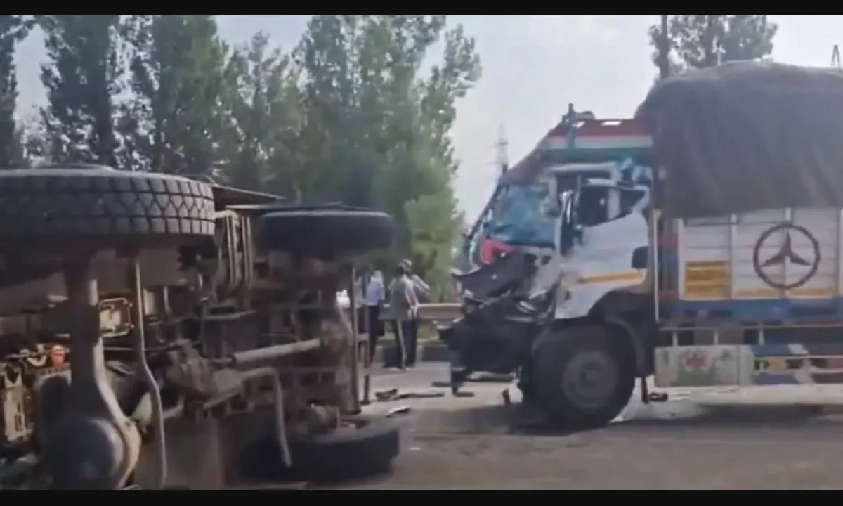 Eight dead after pickup truck collides with truck in Gwalior after driver tries to avoid cows on highway