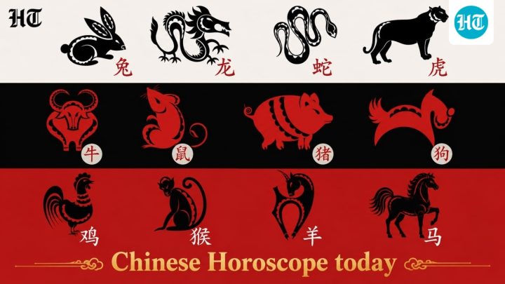 Chinese Horoscope, September 21, 2026: Build on what is already working, and let steady progress carry the day