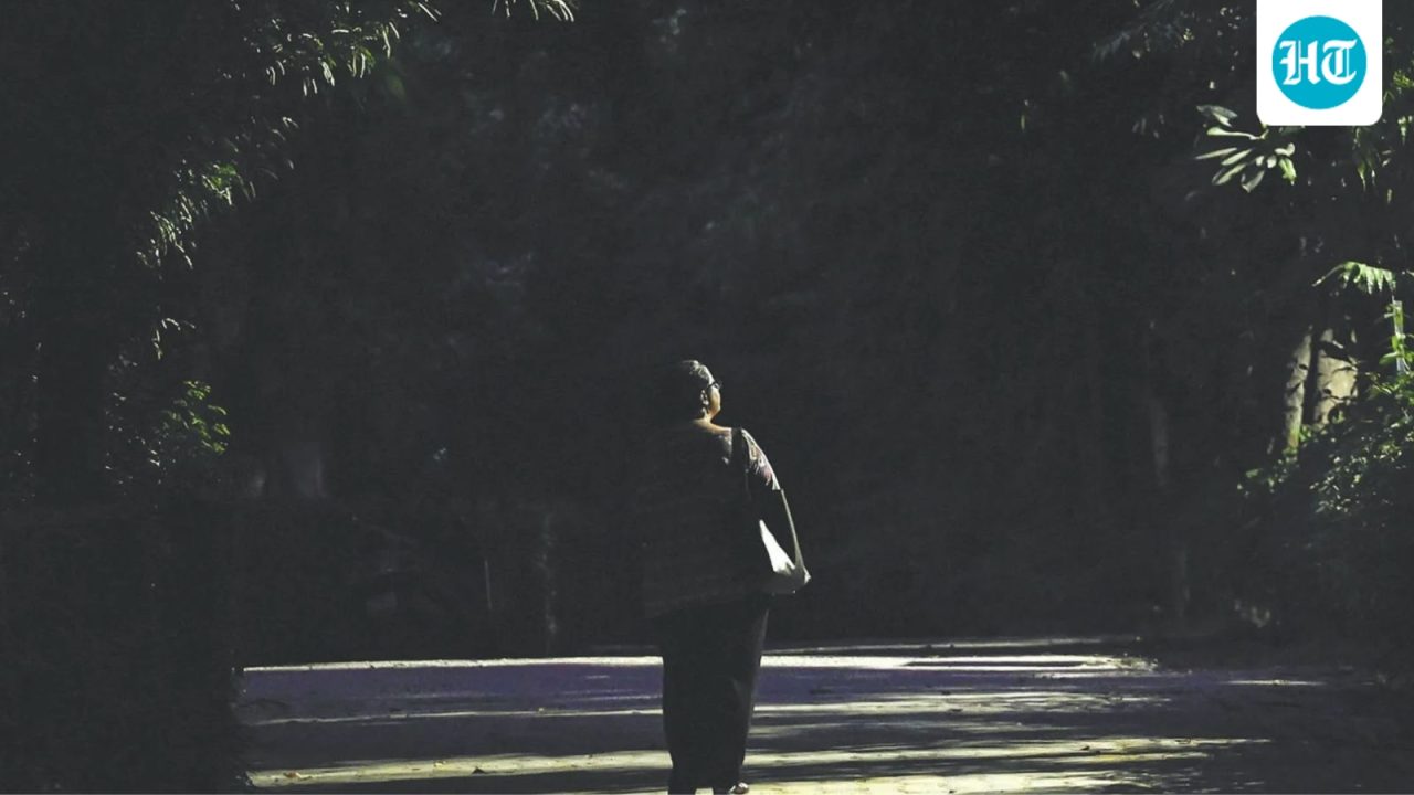 Broken walls, no CCTV, weak patrolling: How safe are Delhi parks after dark?