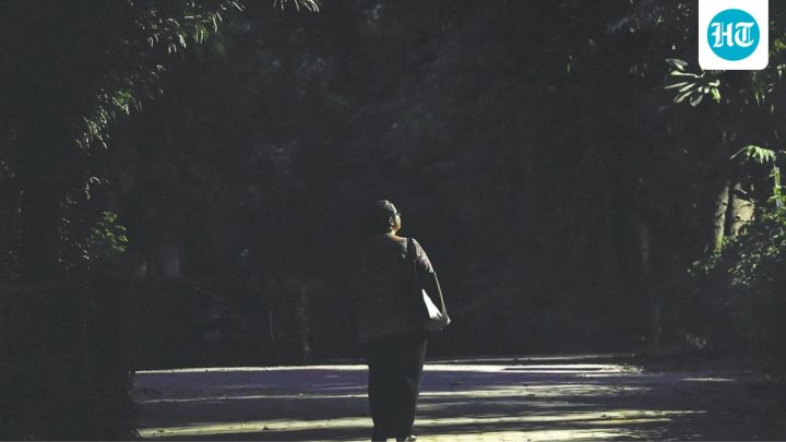 Broken walls, no CCTV, weak patrolling: How safe are Delhi parks after dark?