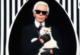 Quote of the day by Karl Lagerfeld: ‘Is there something healthier than competition? If not, you fall asleep and think…’