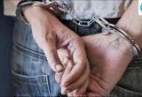 3 held as Mohali police bust tractor theft gang