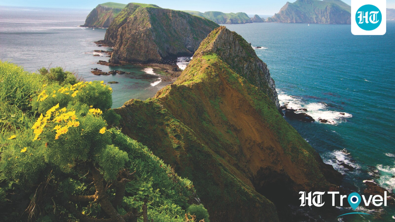 Destination Buzz: 10 California beaches for your next Pacific coast escape