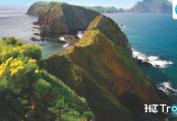 Destination Buzz: 10 California beaches for your next Pacific coast escape